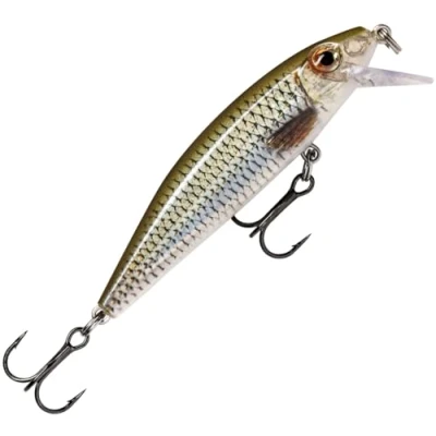 Image de Rapala Leurre de Pêche X Rap CountDown Matériel avec Construction Balsa en Eau Douce Fabriqué Estonie Prof Nage 0.6 1.2 m Taille 5 cm / 4 g Live Roach