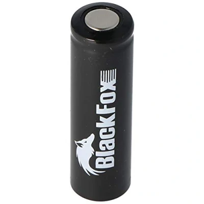 Image de Piles AA Mignon NiMH 1,2 V 1600 mAh Flat Batterie de Top 49,5 x 14,5 mm