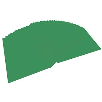 Image de Folia Max Bringmann Lot de 100 feuilles Vert mousse Format A4