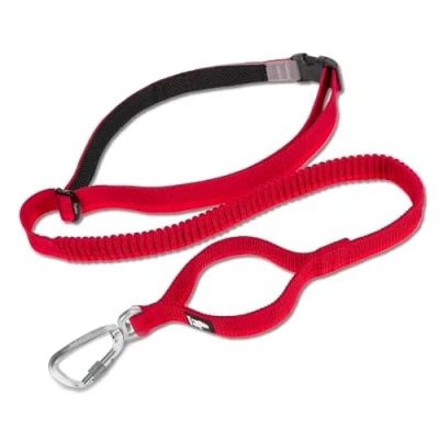 Image de TRUE LOVE Longue Laisse de Chien élastique Mains Libres Ajustable Absorbant Les Chocs TLL2271 (Rouge, L)