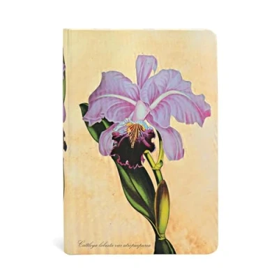 Image de Carnet à couverture rigide Orchidée Brésilienne Mini Ligné 176 p.