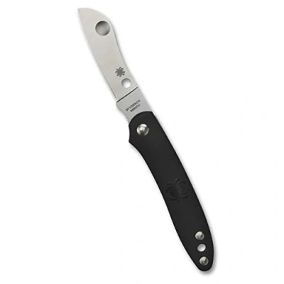 Image de SPYDERCO C189PBK Couteau fermant Noir