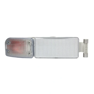 Image de DT Spare Parts 3.31195 Clignotant PY21W 24 MAN: TGL, TGA, TGS