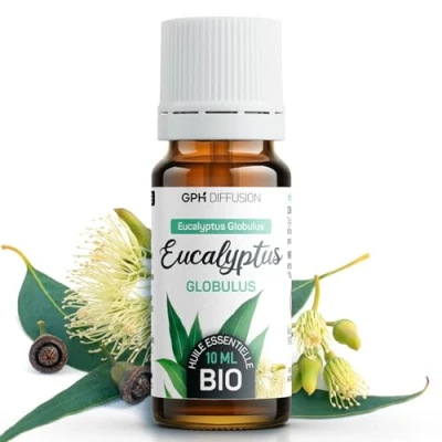 Image de Eucalyptus Globulus bio huile essentielle 10 ml