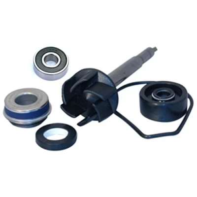 Image de KIT REVISIONE POMPA MAJESTY 400