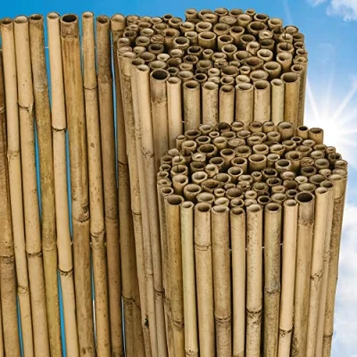 Image de Sol Royal Canisse Bambou SolVision B38 100x250cm Brise Vue Balcon, Jardin, terrasse Vent Pare Soleil Naturel, Robuste &amp; Facile à Monter