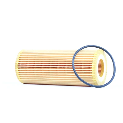 Image de BOSCH 1 457 429 252 Filtre à huile avec joint d&#039;étanchéite Cartouche filtrante BMW: X3, 6 Coupe, 3 Cabriolet