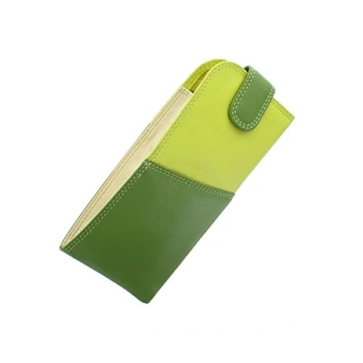 Image de VISCONTI Rainbow Collection BELIZE Étui à Lunettes en Cuir Nappa RB106 Citron Multi