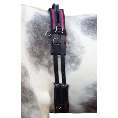 Image de HKM Surfaix de Longe Canvas avec Double Poignée Navy/Passion Pink Cob