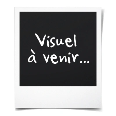 Image de vidaXL Bâche 650 g / m² 1,5 x 6 m Vert