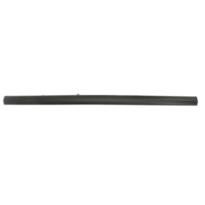 Image de Baguette décorative/de protection, pare chocs BLIC 5513 00 2532965P