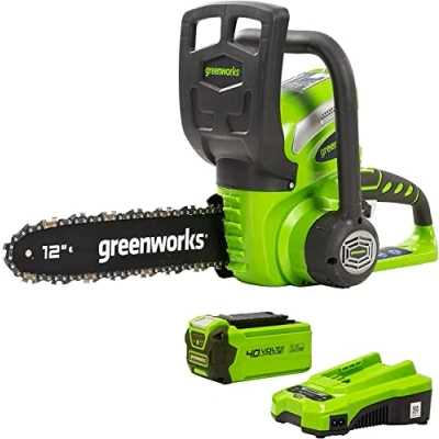 Image de Tronçonneuse sur batterie GREENWORKS G40CS30 30 cm Système d&#039;huilage automatique Chaîne Oregon