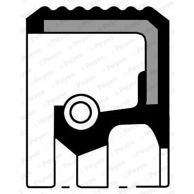 Image de PAYEN NF850 Joint Spi De Vilebrequin FPM (caoutchouc fluoré) PEUGEOT: 106 II 3/5 portes, 206 207 CITROËN: C3 I portes