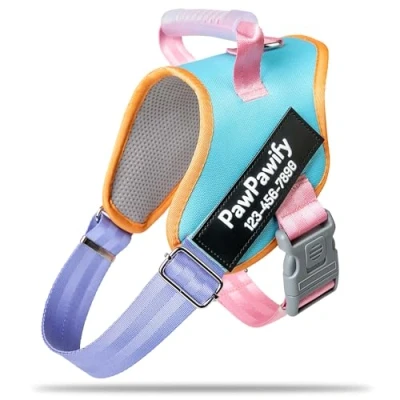 Image de PawPawify Harnais anti traction pour chien avec nom et numéro de téléphone, entraînement marche, gilet personnalisé éviter les tiraillements, tiraillements ou l&#039;étouffement