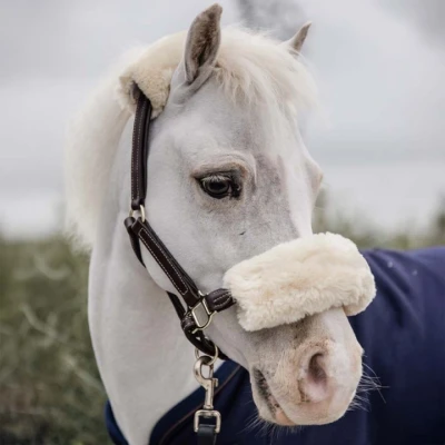 Image de Kentucky Licol en Cuir Leather Sheepskin Poney
