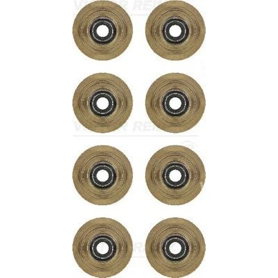 Image de REINZ 12 31056 01 Jeu de joints d&#039;étanchéité, tige soupape FORD: ESCORT 4 Cabriolet, 5 Cabrio,