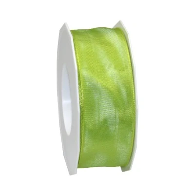 Image de PRÄSENT C.E. Pattberg Lyon Ruban de Taffetas Vert Citron 40 mm x 25 m