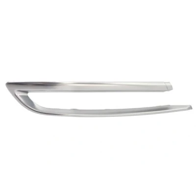 Image de Baguette et bande protectrice, pare chocs BLIC 5513 00 00679721P Gauche