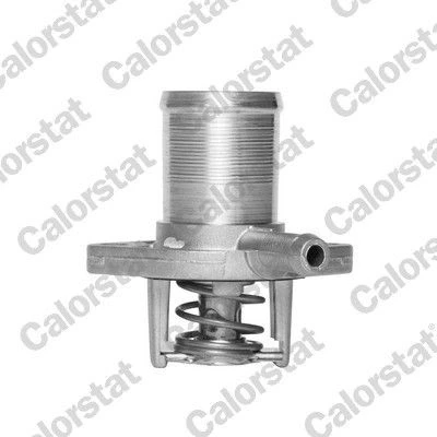 Image de Thermostat d&#039;eau CALORSTAT by Vernet TH5493.89J