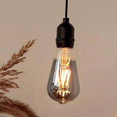 Image de Hellum lampe à suspension avec batterie et télécommande outdoor, ST64 Ø 6,4 x 13,8cm, ampoule fumée batterie, rétro réglable (4xAA non inclus) 150421