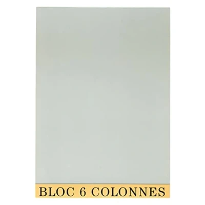 Image de Exacompta Réf. 5706E 1 Bloc de contrôle comptable/audit 6 colonnes sur page 70 feuillets en papier jaune antireflets 80 grammes dimensions 29,7 x 21cm format A4