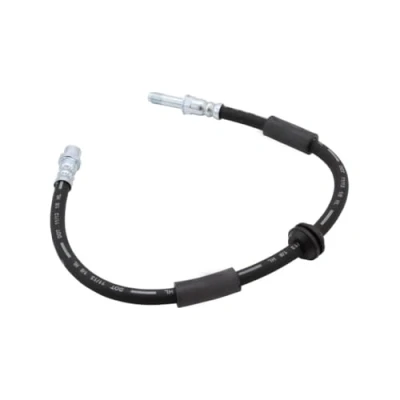 Image de DELPHI LH6613 Flexible De Frein 565 M10x1 Int SF VOLKSWAGEN: Transporter 5 Bus, Multivan (7HM,