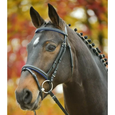 Image de Waldhausen Bridon STAR Diamant Pony Vert
