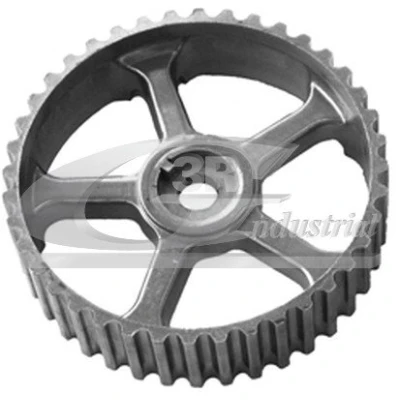 Image de 3RG 10622 Roue dentée, arbre à came RENAULT: Megane Scenic, Kangoo I, CLIO 2
