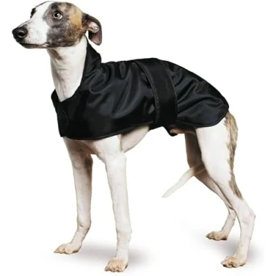 Image de Ancol Muddy Paws Greyhound Whippet Coat, Medium(43cm), Black