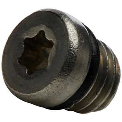 Image de KIT TORNILLO/TORICA DE PURGADO SRAM INOXIDAB (20U)