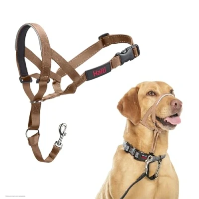 Image de Licol HALTI pour Que Votre Chien arrête de Tirer sur sa Laisse, Partie entièrement matelassée Le museau, Colliers Anti Traction Chiens Taille Moyenne (Taille 3, Sable du Désert)
