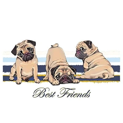 Image de Ideen mit Herz Transferts thermocollants pour textile DIN A4 filigrane sans fond idéal les t shirts et sacs repasser des images rapidement facilement (best friends)