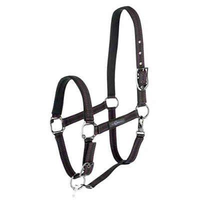 Image de GoLeyGo Licol 2.0 Noir/Fuchsia Poney