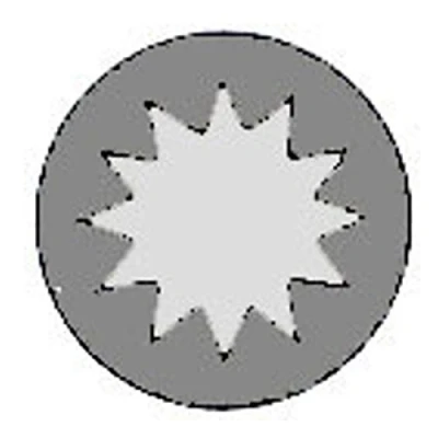 Image de REINZ 14 32326 01 Jeu De Vis Culasse Polygone intérieur TOYOTA: RAV4 III SUV, Auris 5 portes, Yaris II 3/5 portes