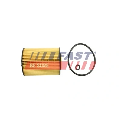 Image de FAST FT38098 Filtre à huile avec joints Cartouche filtrante AUDI: A4 B8 Avant, A5 Coupe, Q5, VOLKSWAGEN: Golf 6, Tiguan I, 7