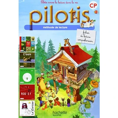 Image de lecture CP Collection Pilotis Fichier de Edition 2013 Livre d’occasion Correct