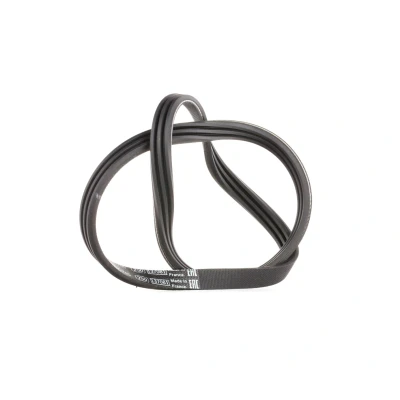 Image de BOSCH 1 987 947 572 Courroie Poly V 740 3 RENAULT: Kangoo I, CLIO 2, TWINGO 1, PEUGEOT: 206 3/5 portes, DACIA: Sandero Logan I Berline