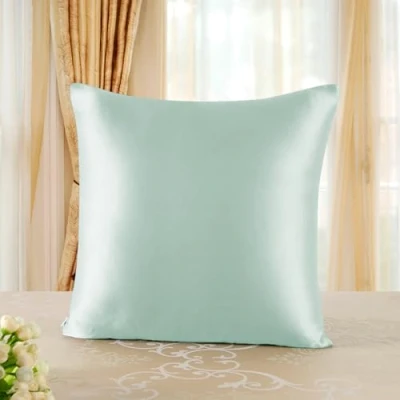 Image de townssilk Taie d&#039;oreiller en Soie, 100% Soie de mûrier Naturelle 19 Momme, Deux Faces certifiée Oeko Tex, Douce pour la Peau et Les Cheveux, 1 unité,80x80cm,Vert Clair