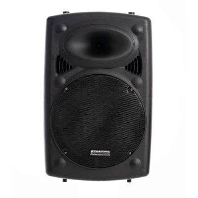 Image de DYNASONIC Dynapro 12&#039; (dernière génération) Haut Parleur Portable Système Audio Professionnel Puissance 700W USB Bluetooth Radio FM Microphones, Noir. Prise en Charge des appareils Mobiles
