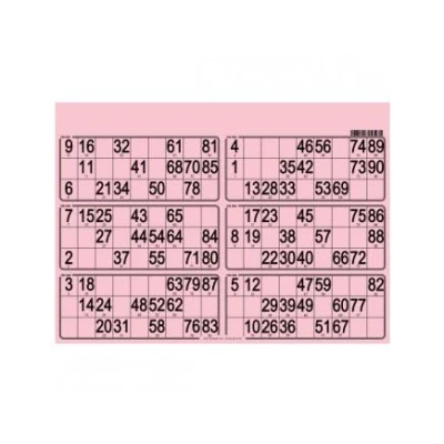 Image de cavernedesjouets Carton Loto Plaque de 6 grilles Coloris Rose, 90 numeros Format 29x20 cm, EP 1.5 mm Set Jeu Planche Bingo + Carte