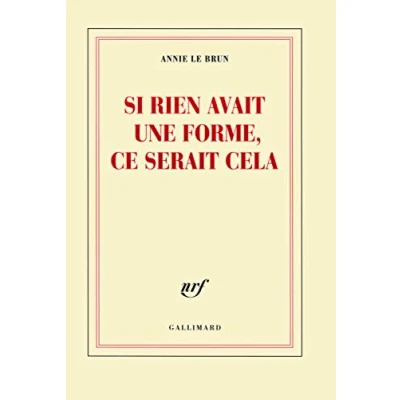 Image de Si rien avait une forme, ce serait cela