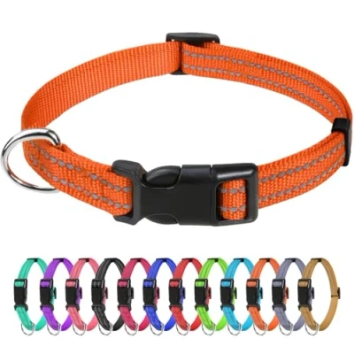 Image de TagME Collier pour Chien, en Nylon Réfléchissant Réglable Classique Convient Chiot et Chat, Orange, 1.0cm Largeur