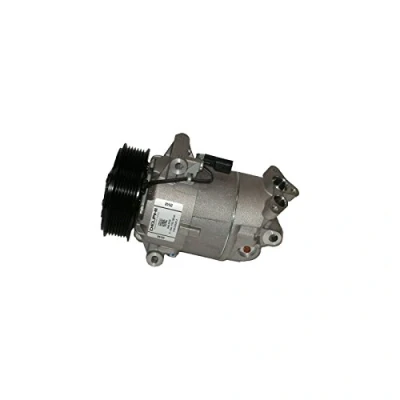 Image de DELPHI TSP0155464 compresseur De Climatisation 6CVC PAG 46 avec huile RENAULT: MEGANE 2, SCENIC GRAND 2