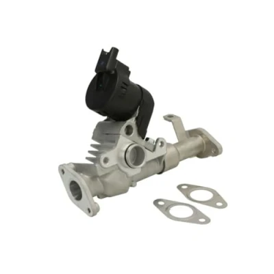 Image de Vanne EGR DELPHI EG10488 12B1