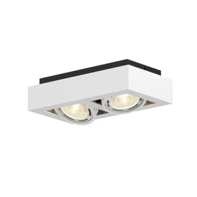 Image de Arcchio Plafonnier Ronka à intensité variable (Moderne) en Blanc Aluminium e. a. pour Salon &amp; Salle manger (à 2 lampes, GU10), Luminaire Plafonnier, Lampe Plafond, Eclerage Eclairage