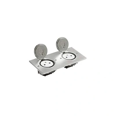 Image de Legrand 089768 Prise de Sol Double Surface avec Platine Rectangulaire, 2P+T, 16A, 250V, Inox
