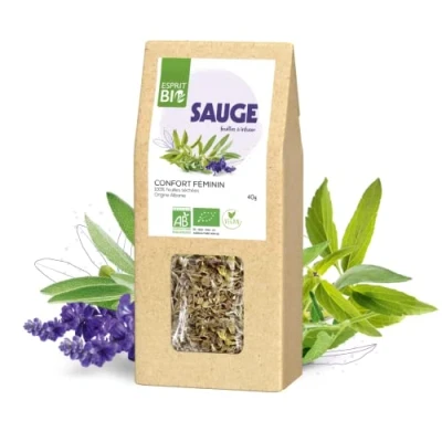 Image de Esprit Bio Sauge A Infuser 40g Vrac Confort Féminin