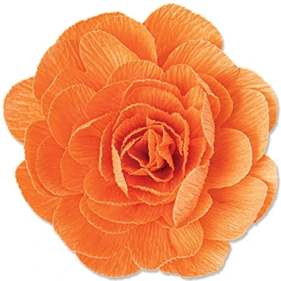 Image de Sizzix Matrice Thinlits de découpe 3Pom Olivia Rose 666022 Chapitre 4 2022 Wafer, Pom Flower, Taille Unique