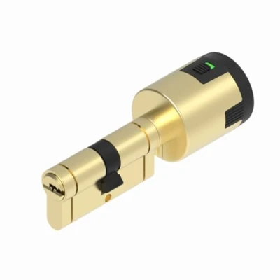 Image de Lince cylindre de Sécurité 30+B30 avec Alarme 100 dB Double Sécurite Fusible mécanique pour une rupture programmée en cas tentative du Livre 5 clés Laitonnée