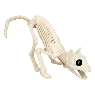 Image de Boland 72413 Squelette de chat Taille 51 cm Bouche mobile Attrapette en plastique Décoration pour Halloween, carnaval ou fête à thème